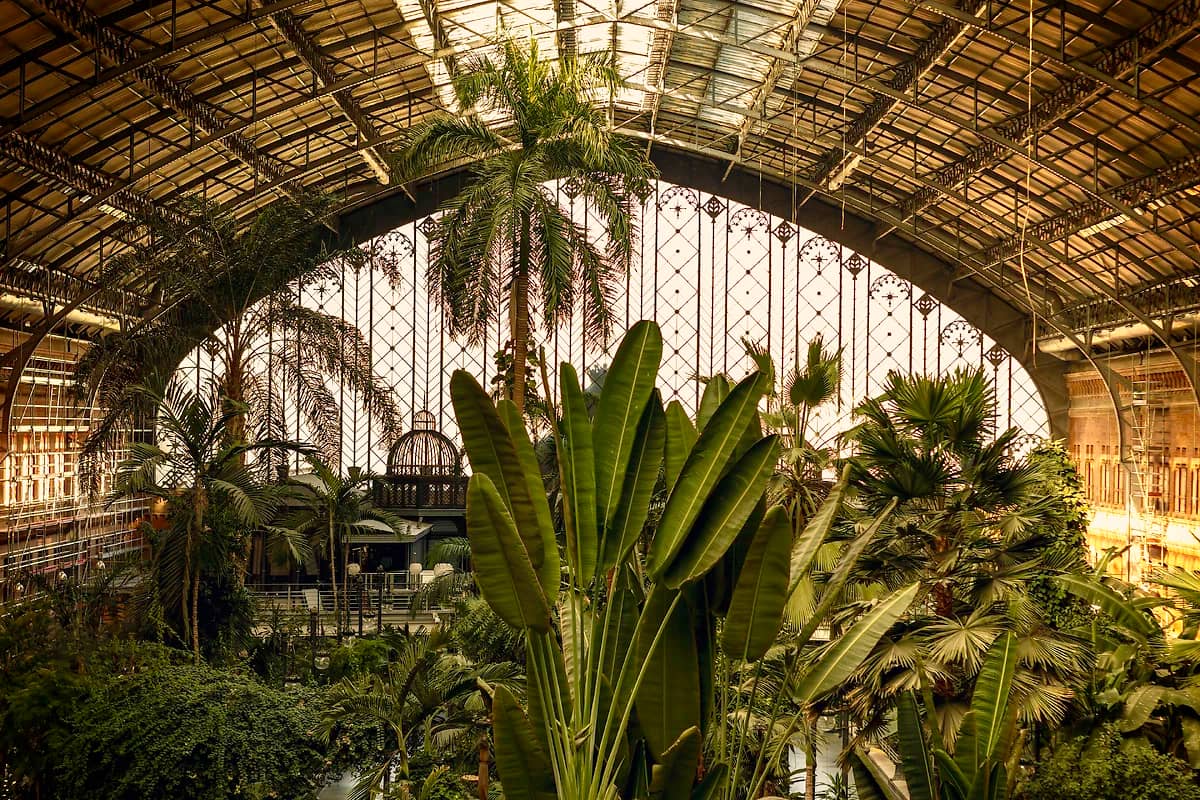 Jardin botanique à la gare d'Atocha, Madrid, Espagne