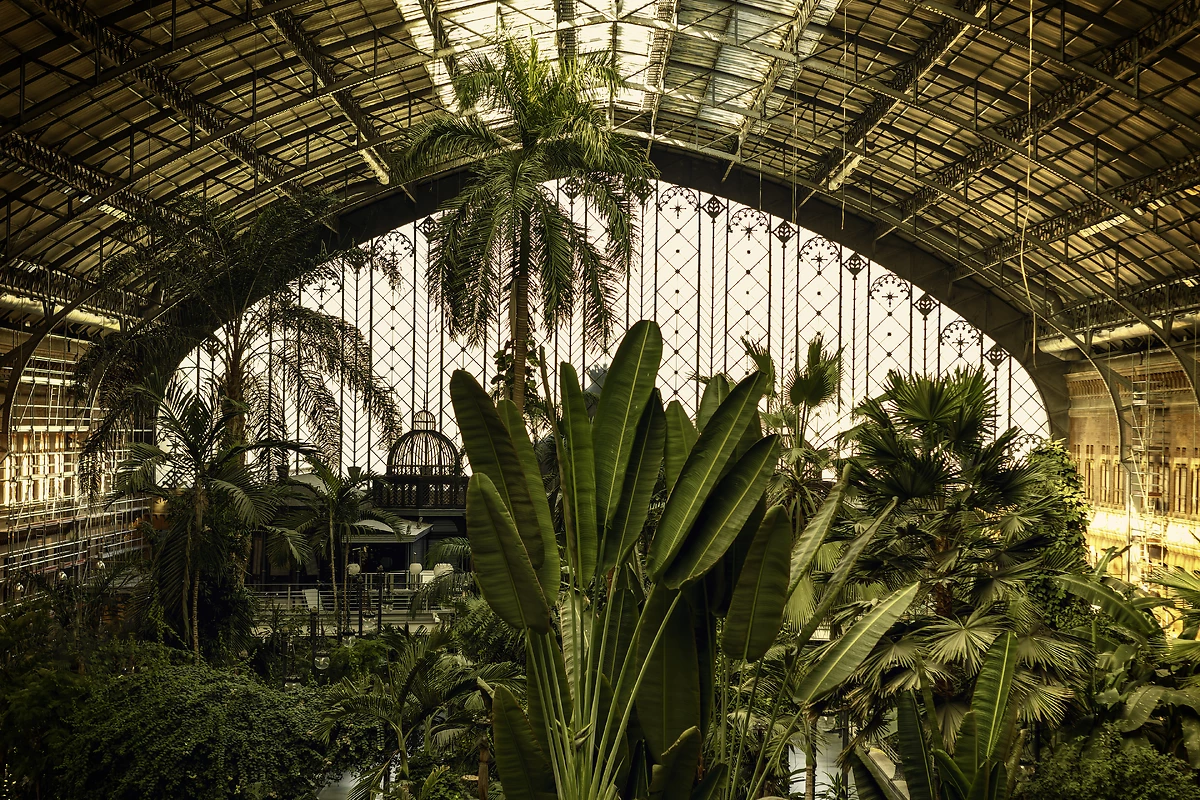 Jardin botanique à la gare d'Atocha, Madrid, Espagne