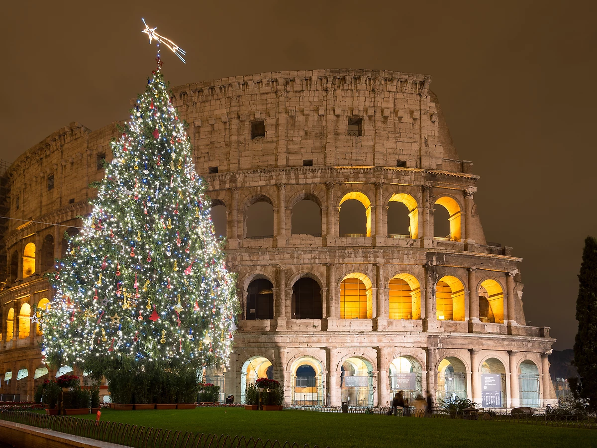 Sapin de Noël, Colisée