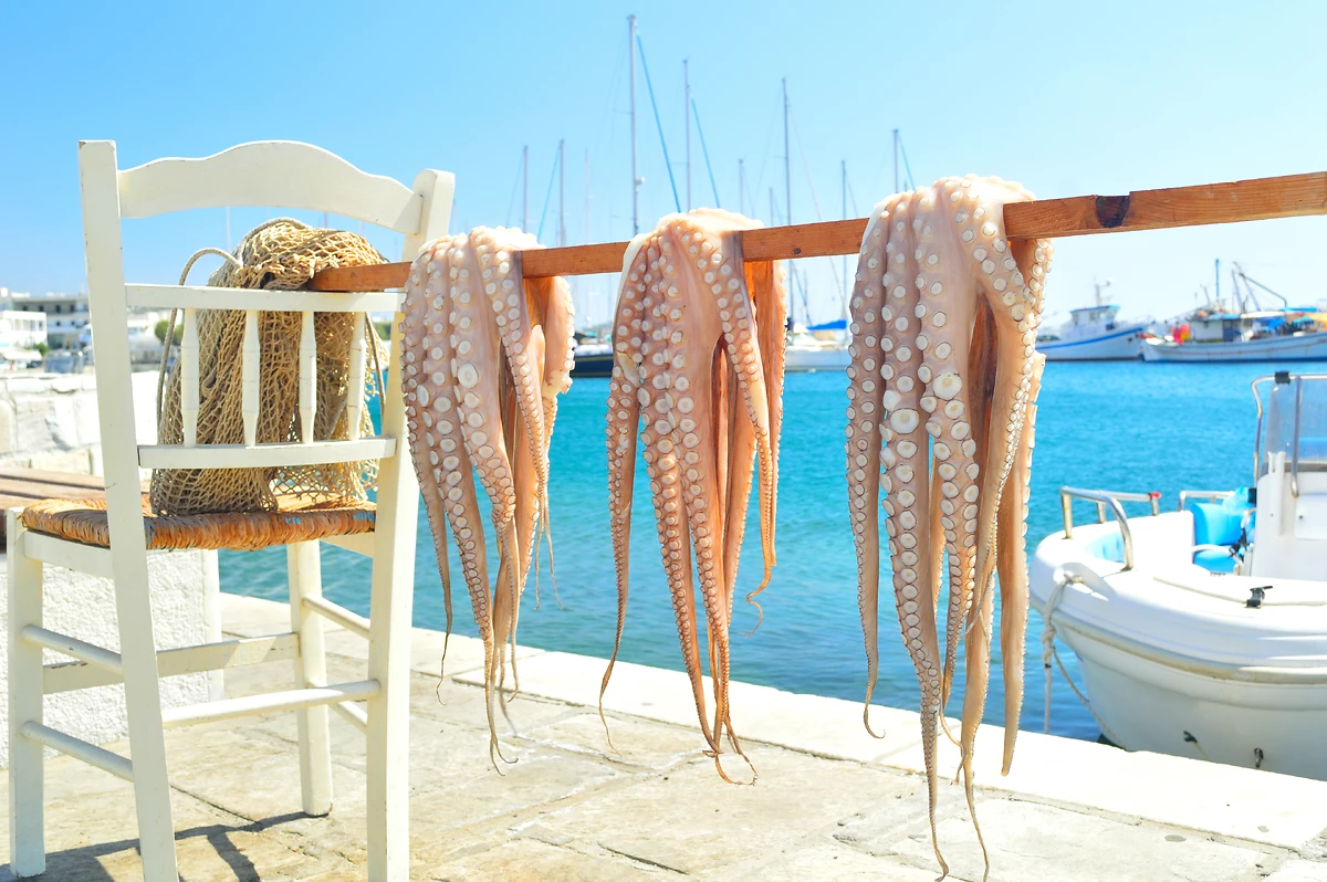 Pieuvres, séchage au soleil, île de Naxos, Cyclades, Grèce