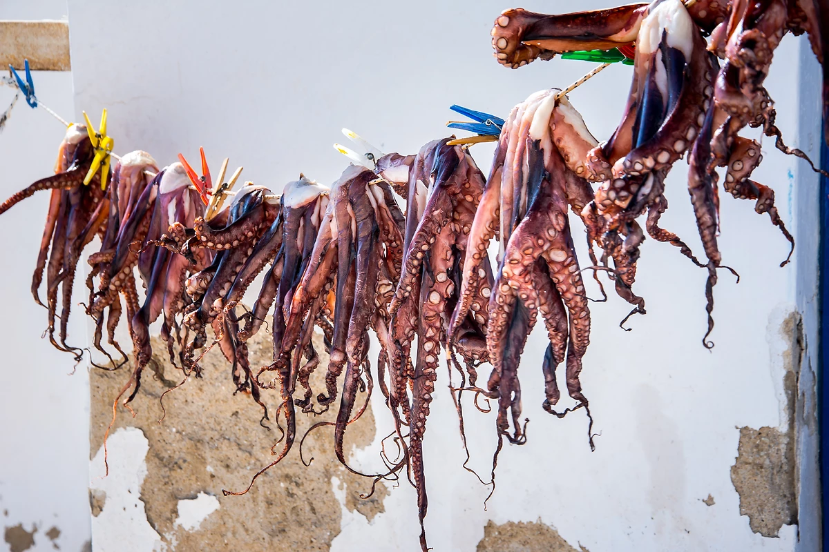 Tentacules de pieuvre à sécher, Kalafati (plage), Mykonos, Grèce