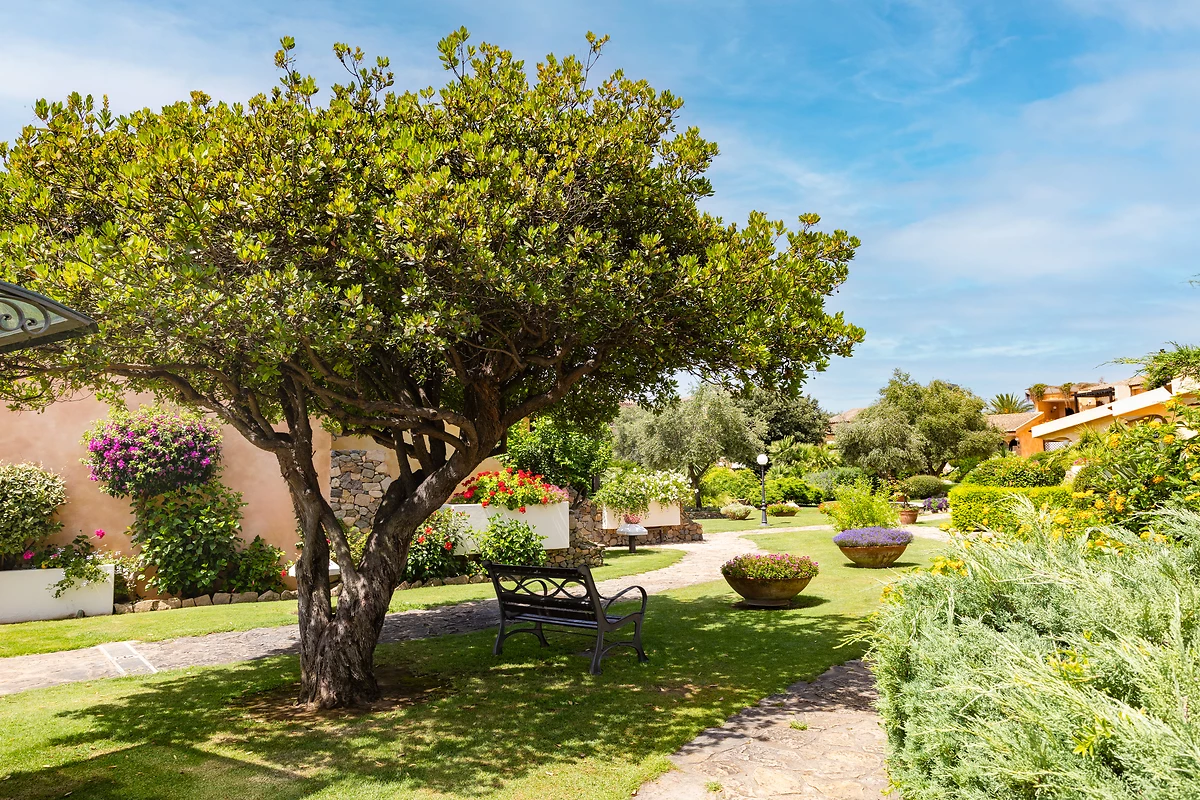Jardin,  Hotel Baia di Nora, Sardaigne, Italie