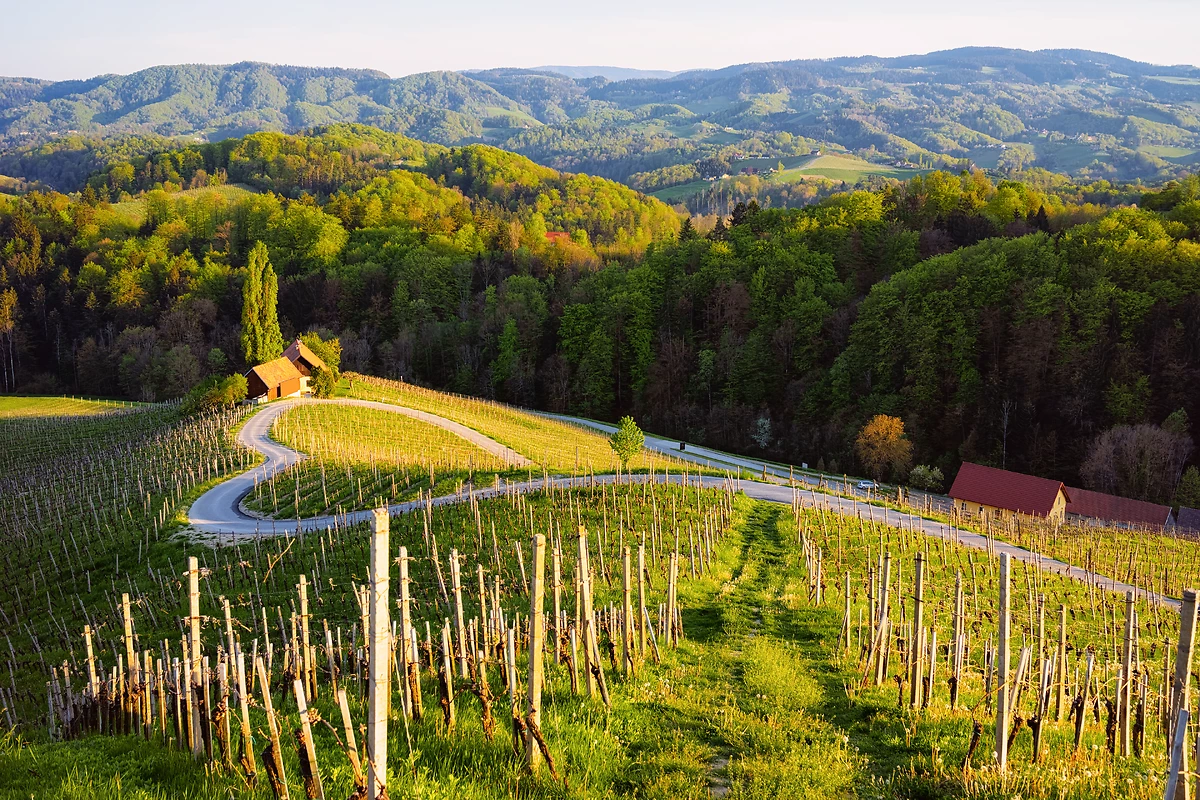 La célèbre route formant un cœur, Maribor, Slovénie