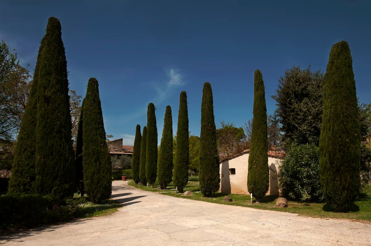 Allée, Relais Della Rovere, Toscane, Italie