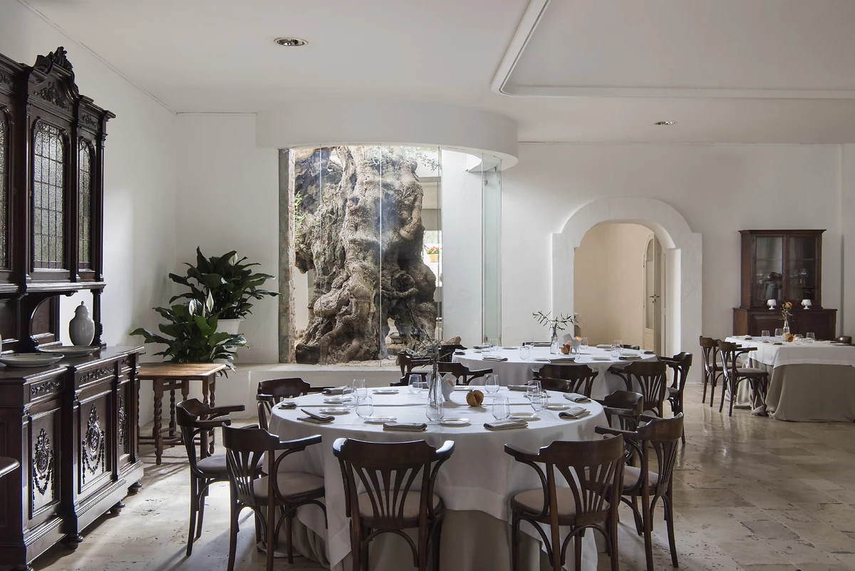 Restaurant Ulivo, Masseria Il Melograno,Monopoli Il Melograno, Pouilles, Italie