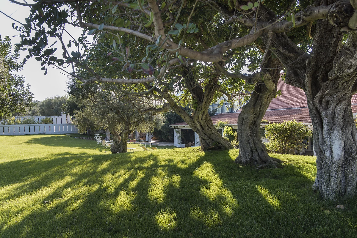 Jardin, Masseria Il Melograno,Monopoli Il Melograno, Pouilles, Italie
