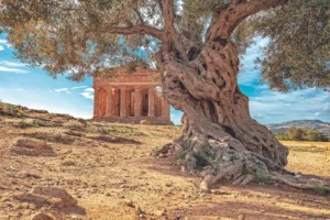 Temple grec, vallée des Temples, Agrigente, Sicile