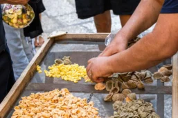 Stand de pâtes "orechiette" faites à la main dans la rue, Bari, Pouilles